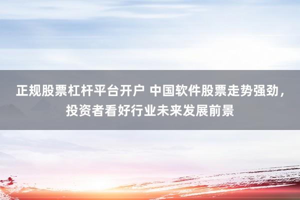 正规股票杠杆平台开户 中国软件股票走势强劲，投资者看好行业未来发展前景