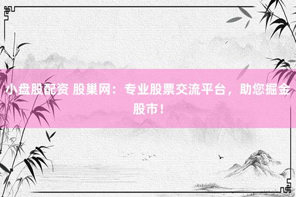 小盘股配资 股巢网：专业股票交流平台，助您掘金股市！