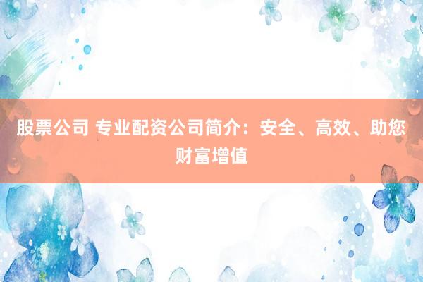 股票公司 专业配资公司简介：安全、高效、助您财富增值