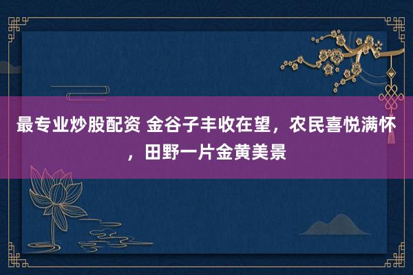 最专业炒股配资 金谷子丰收在望,农民喜悦满怀,田野一片金黄美景