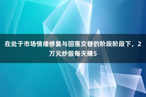 在处于市场情绪修复与回落交替的阶段阶段下，2万元炒股每天赚5