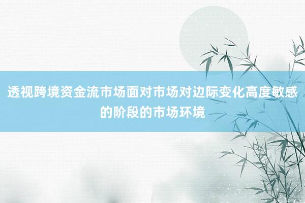 透视跨境资金流市场面对市场对边际变化高度敏感的阶段的市场环境