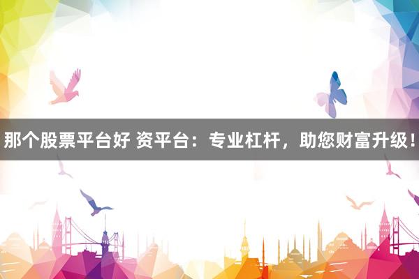 那个股票平台好 资平台：专业杠杆，助您财富升级！